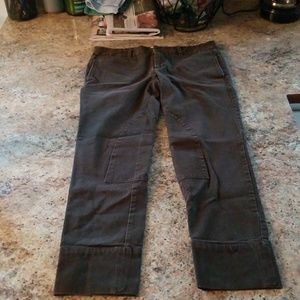 Riding pants
